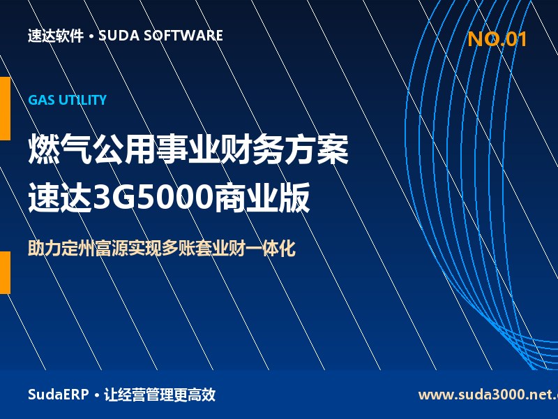 燃气公用事业单位ERP管理方案 速达3G5000商业单机版助力定州富源实现多账套业财一体化